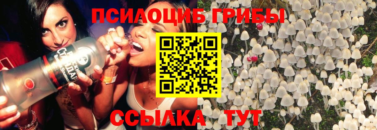 Псилоцибиновые грибы мухоморы  где найти   Урус-Мартан  Вход с VPN  Галлюциногенные грибы GOLDEN TEACHER 